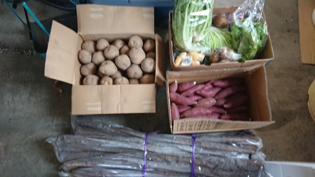 段ボールいっぱいのおいもです・