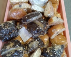 今月もたくさんのご寄付を頂きました