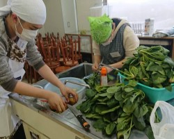 新鮮な採れたて野菜をつかって