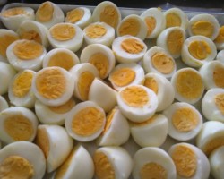 数えきれないくらいのゆで卵です